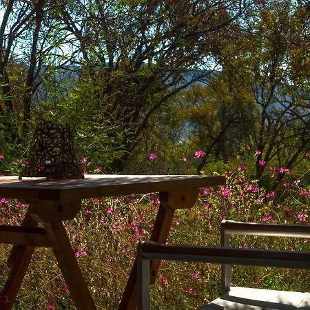 Valentina Boutique בוזבורון